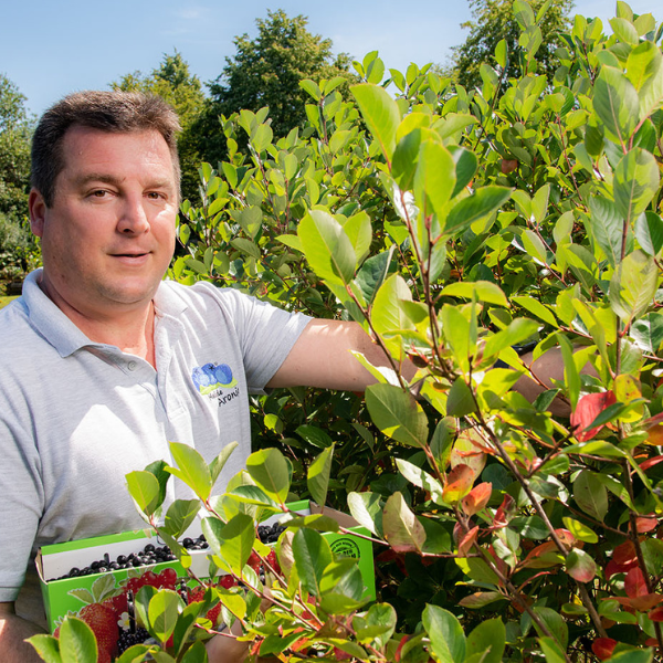 welcher dünger für olivenbaum Olivenbaum Dünger von Flora Boost main image 1